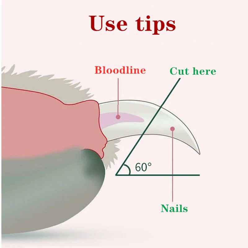 Professional Pet Nail Clipper with LED Light