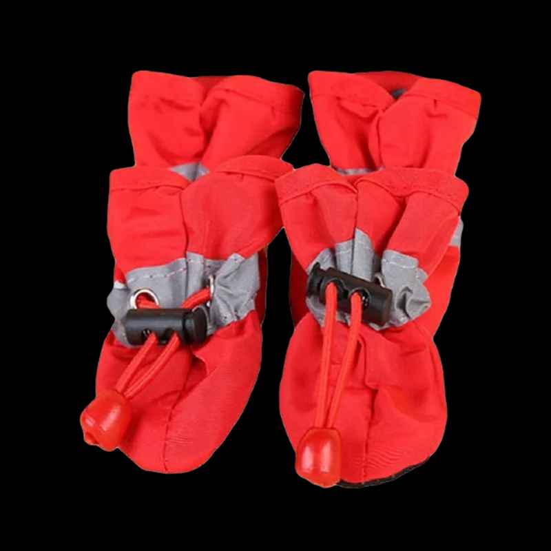 Small dog walking outdoors in waterproof pet shoes