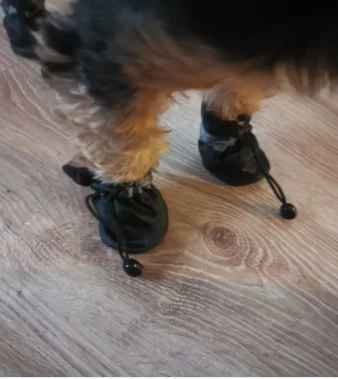 4pcs Waterproof Dog Shoes Anti-Slip Rain Boots for Small Dogs & Cats