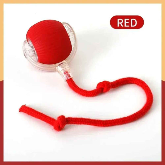 Automatic rolling ball toy for kittens and playful cats